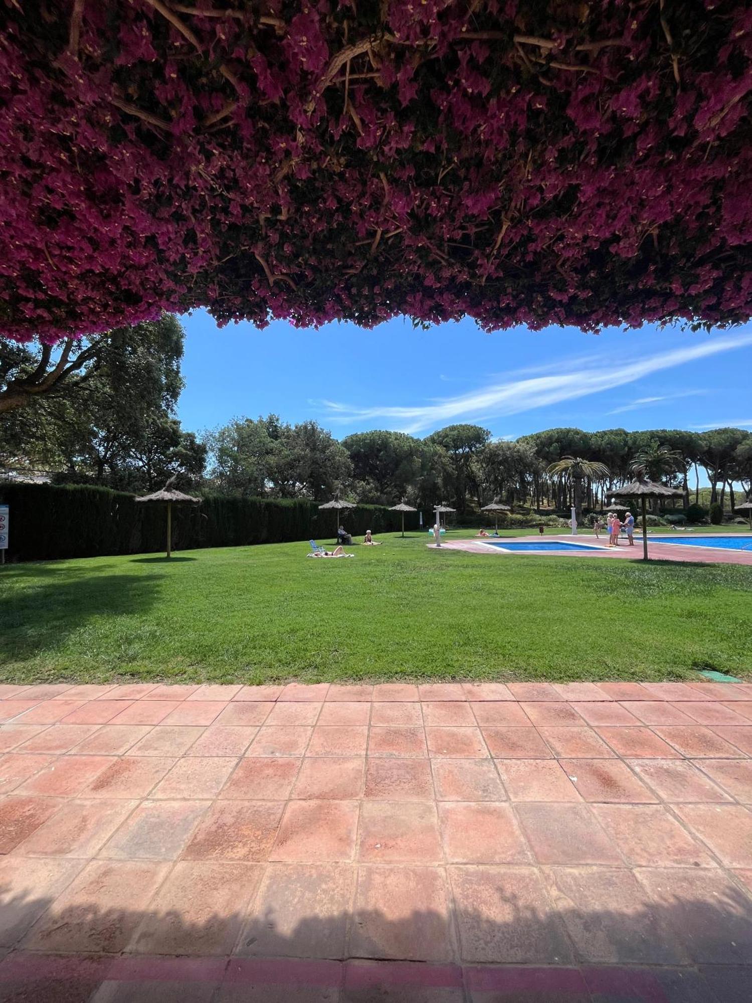Calella De Palafrugell - Piso Reformado Con Piscina, Wifi Y Parking Gratuito 아파트 외부 사진